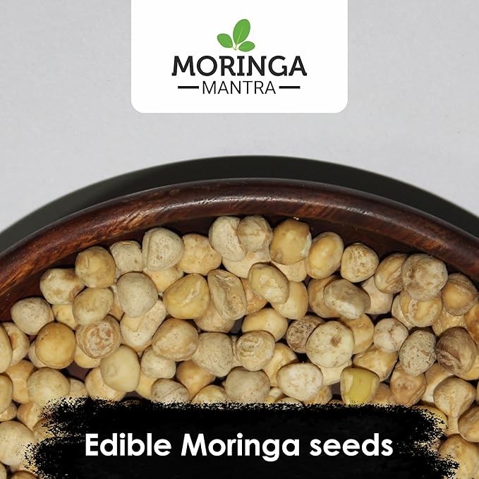 Moringa Mantra Moringa Seeds Kernal