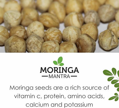 Moringa Mantra Moringa Seeds Kernal