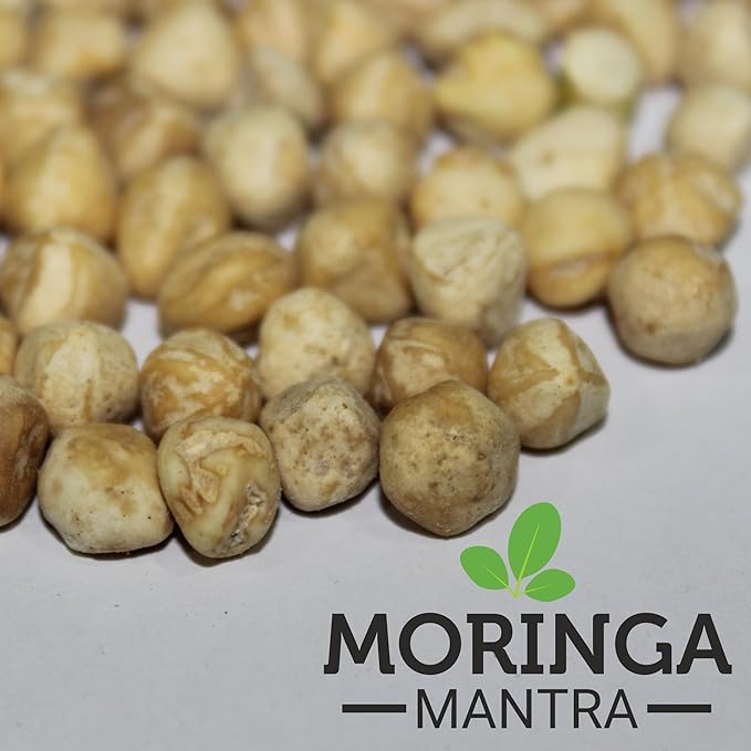 Moringa Mantra Moringa Seeds Kernal