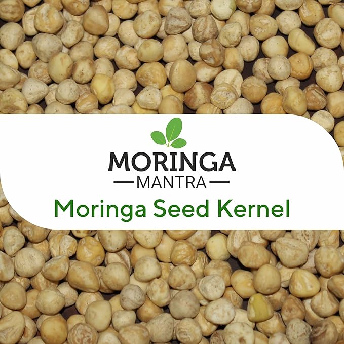 Moringa Mantra Moringa Seeds Kernal